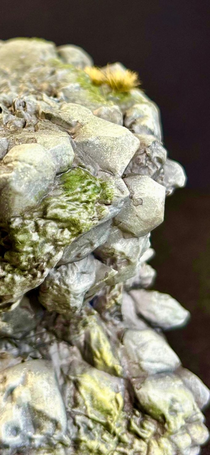 Rocas con musgo y pequeñas flores amarillas en un fondo oscuro.
